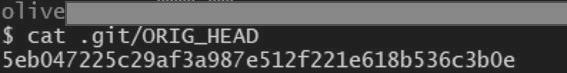 圖10 顯示危險操作前的原始commit。