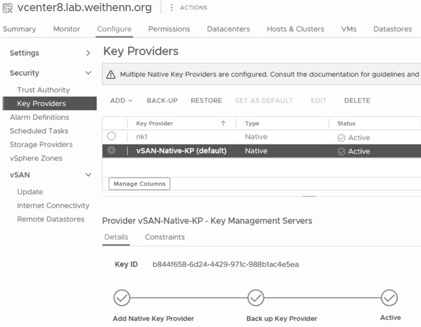圖16 vSAN-Native-KP備份作業完成並設為預設。